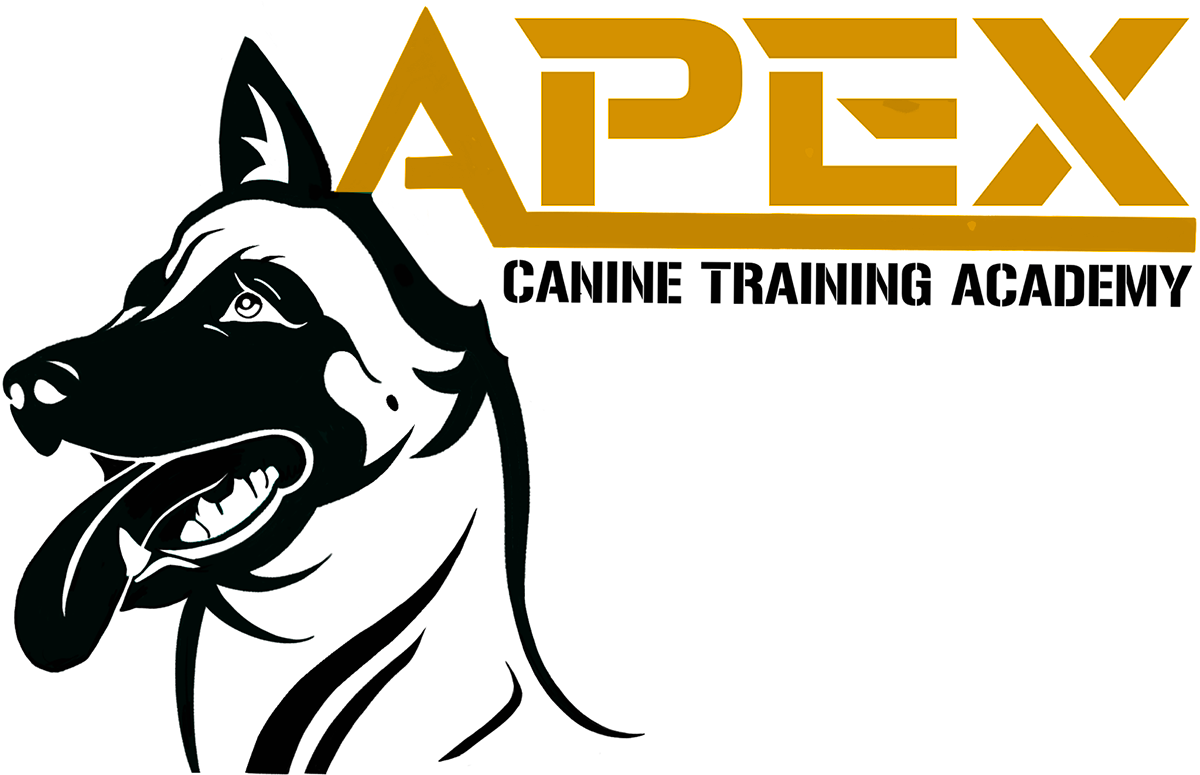 APEX Canine Training Academy