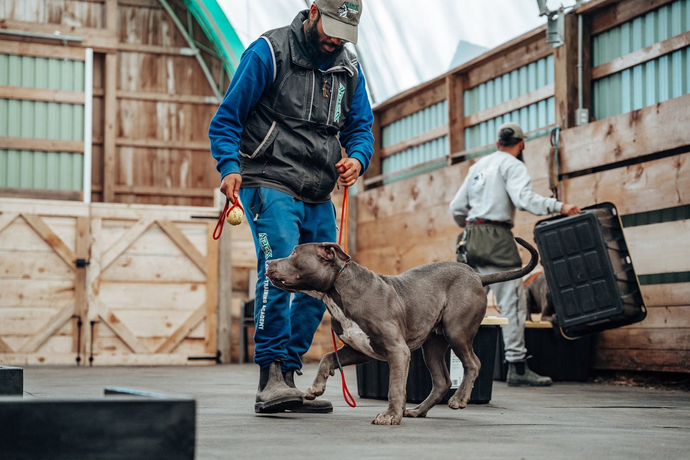 An APEX trainer working with a dog in the training facility