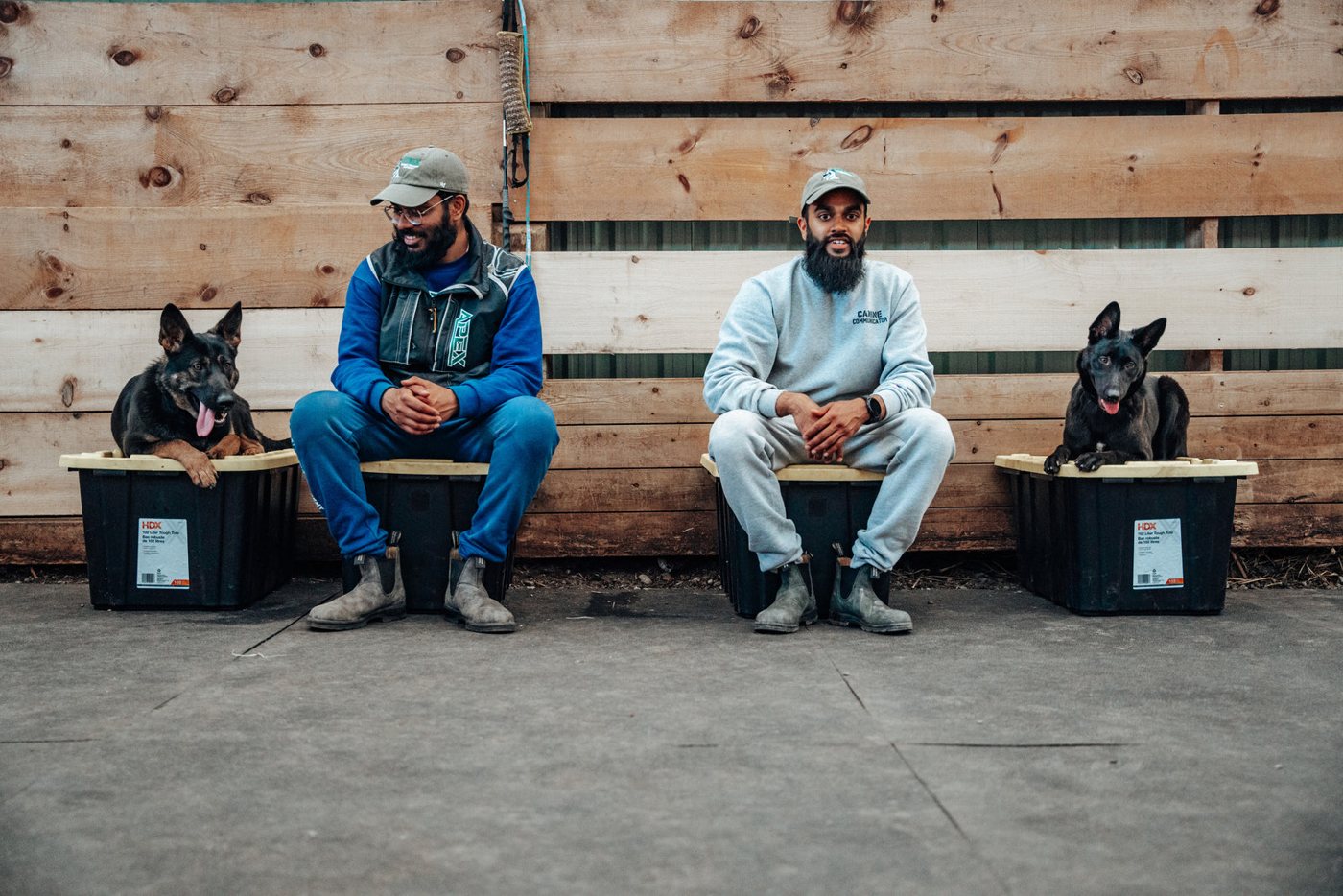 APEX trainers sitting with two German Shepherds at the training facility